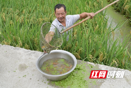 DSC_0092 - 副本.JPG DSC_0092 - 副本.JPG